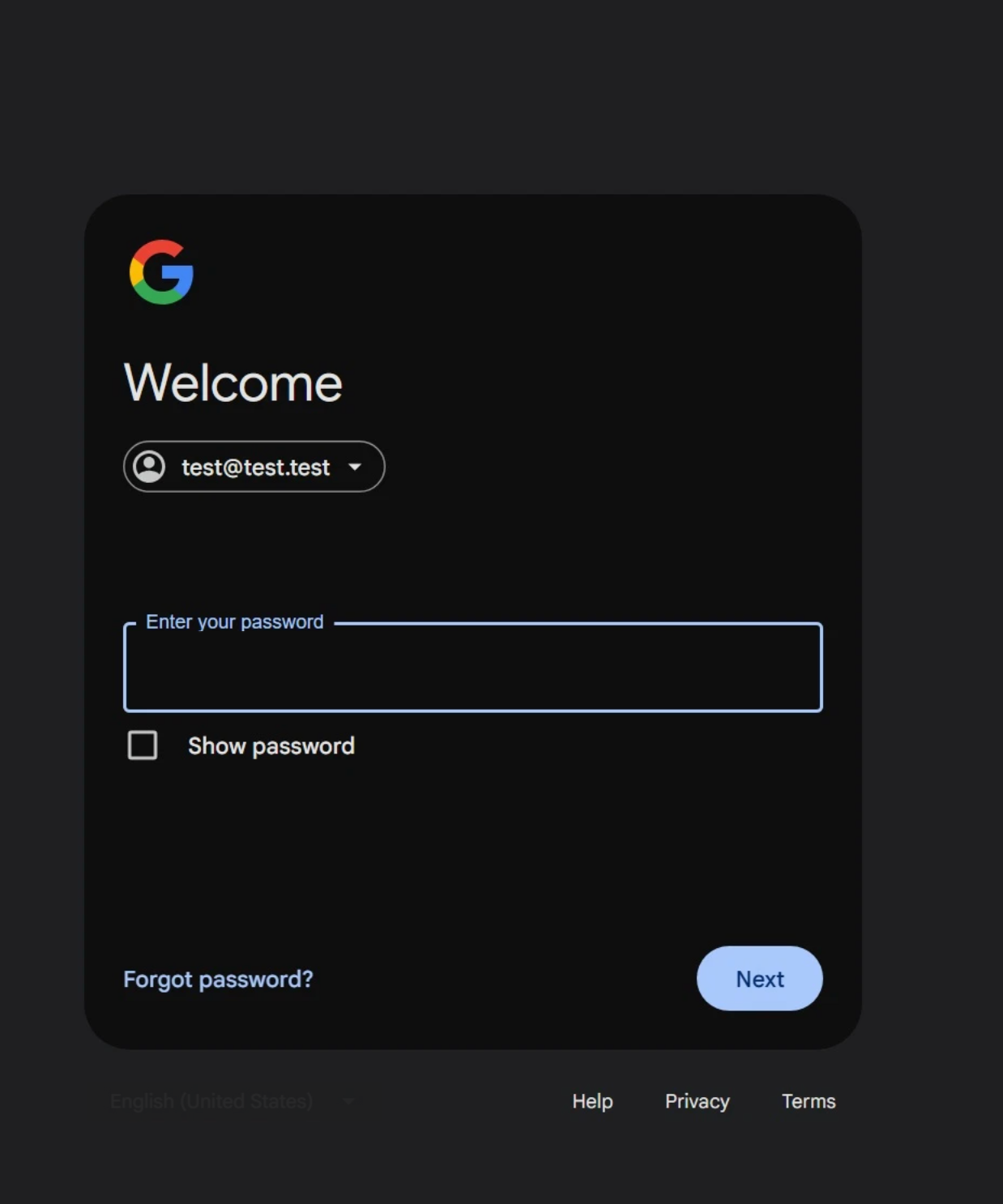 Fake Google password stage showing the synthetic test address test at test dot test